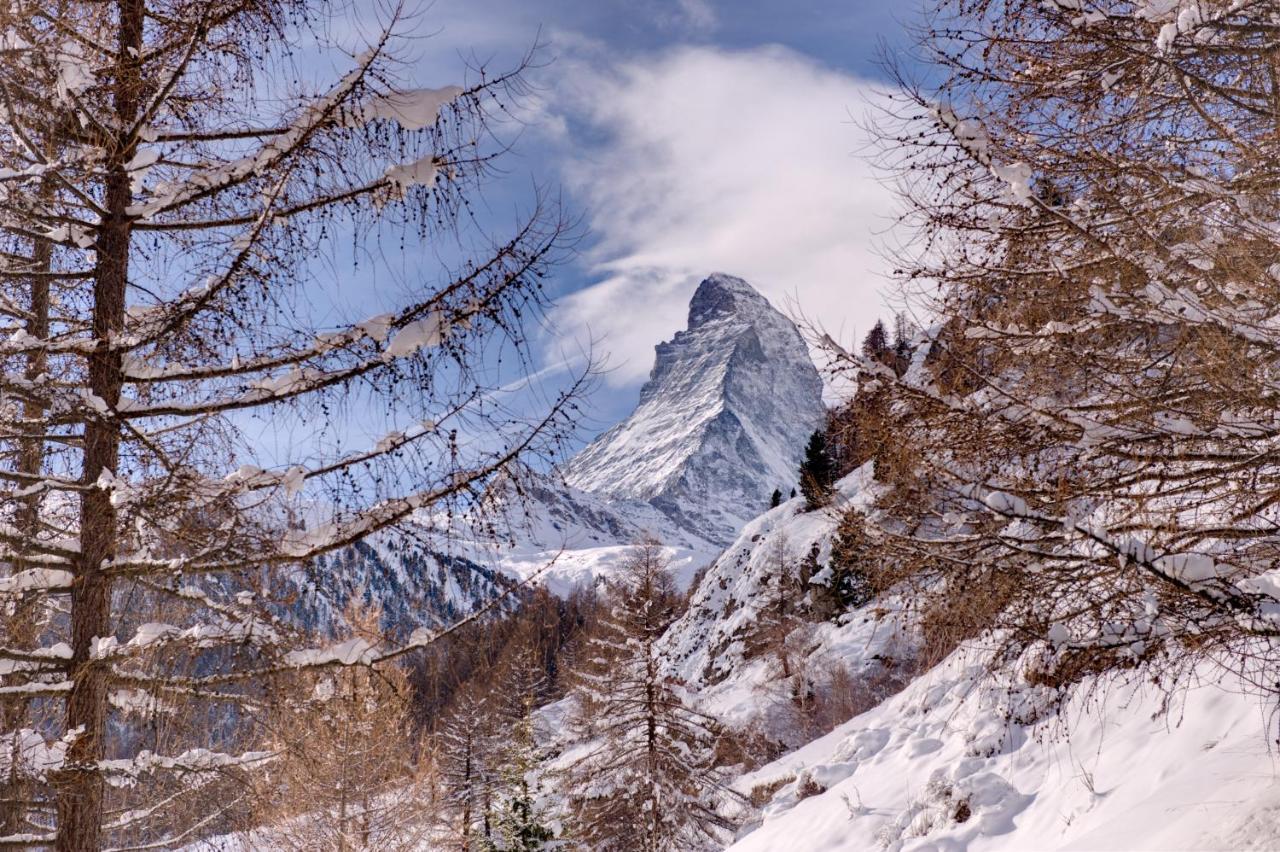 Chalet Zen Zermatt, 100M From Ski Lift And Piste Экстерьер фото